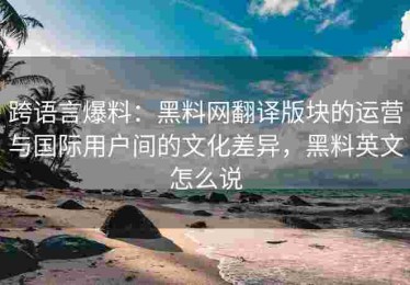 跨语言爆料：黑料网翻译版块的运营与国际用户间的文化差异，黑料英文怎么说