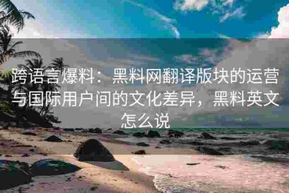 跨语言爆料：黑料网翻译版块的运营与国际用户间的文化差异，黑料英文怎么说