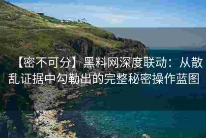 【密不可分】黑料网深度联动：从散乱证据中勾勒出的完整秘密操作蓝图