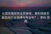 从国民围观到全民审视：黑料网是否能走向行业自律与专业化？，黑料 官网