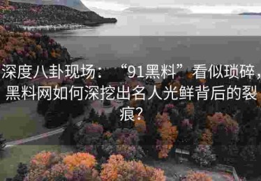 深度八卦现场：“91黑料”看似琐碎，黑料网如何深挖出名人光鲜背后的裂痕？