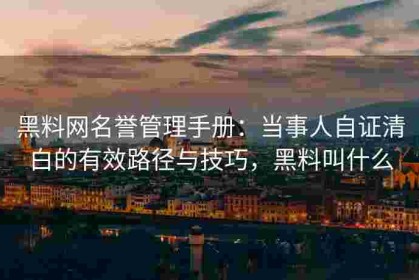 黑料网名誉管理手册：当事人自证清白的有效路径与技巧，黑料叫什么
