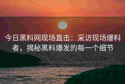 今日黑料网现场直击：采访现场爆料者，揭秘黑料爆发的每一个细节