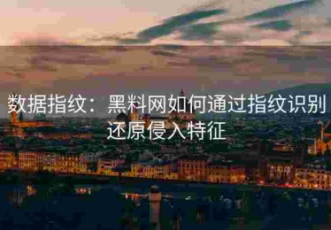 数据指纹：黑料网如何通过指纹识别还原侵入特征