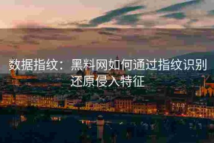 数据指纹：黑料网如何通过指纹识别还原侵入特征