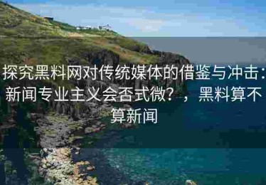 探究黑料网对传统媒体的借鉴与冲击：新闻专业主义会否式微？，黑料算不算新闻