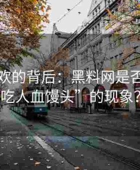 网络狂欢的背后：黑料网是否存在“吃人血馒头”的现象？