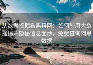 从数据挖掘看黑料网：如何利用大数据揭开隐秘信息面纱，免费查询网黑数据
