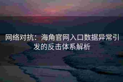 网络对抗：海角官网入口数据异常引发的反击体系解析