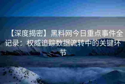 【深度揭密】黑料网今日重点事件全记录：权威追踪数据流转中的关键环节