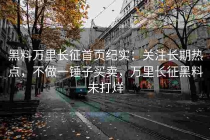 黑料万里长征首页纪实：关注长期热点，不做一锤子买卖，万里长征黑料未打烊