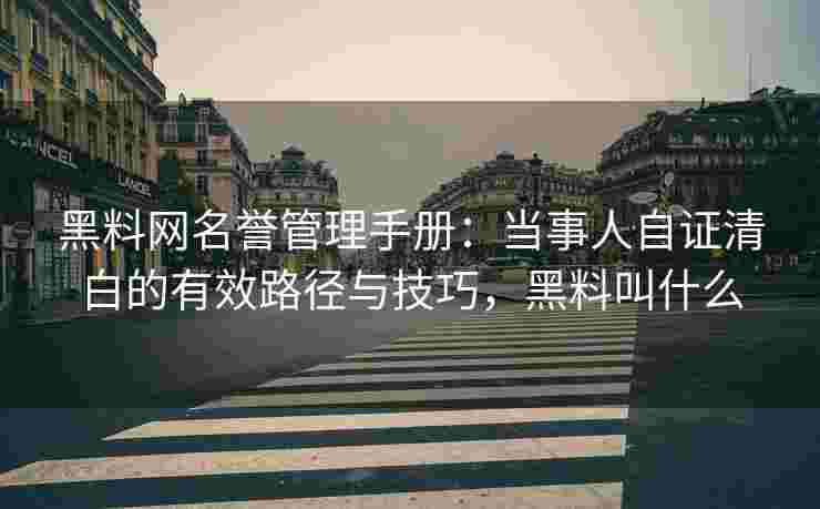 黑料网名誉管理手册：当事人自证清白的有效路径与技巧，黑料叫什么