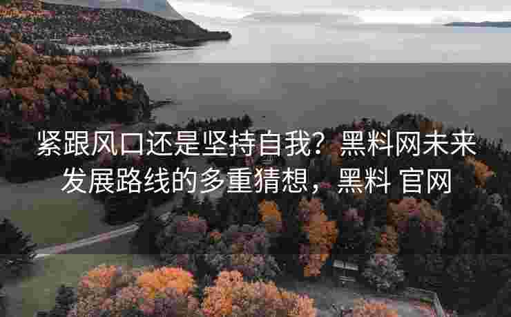 紧跟风口还是坚持自我？黑料网未来发展路线的多重猜想，黑料 官网