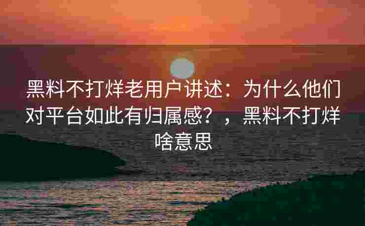 黑料不打烊老用户讲述：为什么他们对平台如此有归属感？，黑料不打烊啥意思