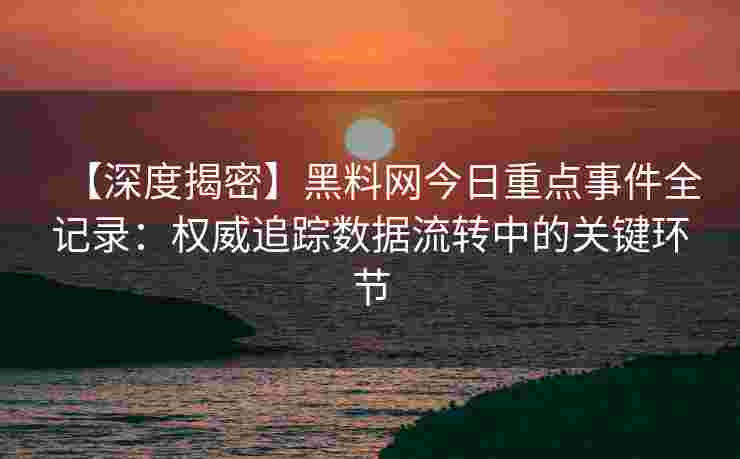 【深度揭密】黑料网今日重点事件全记录：权威追踪数据流转中的关键环节