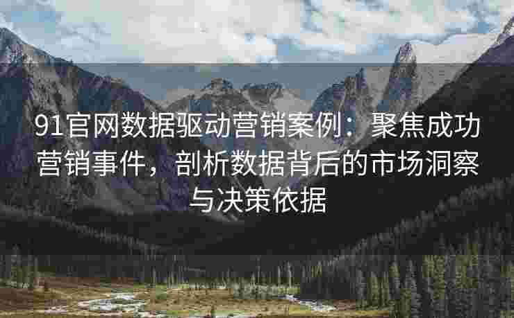 91官网数据驱动营销案例：聚焦成功营销事件，剖析数据背后的市场洞察与决策依据