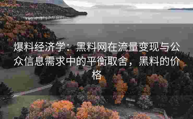 爆料经济学：黑料网在流量变现与公众信息需求中的平衡取舍，黑料的价格