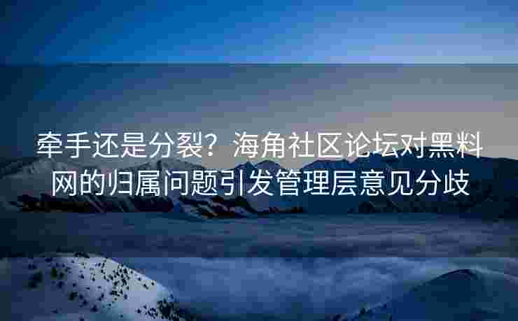 牵手还是分裂？海角社区论坛对黑料网的归属问题引发管理层意见分歧