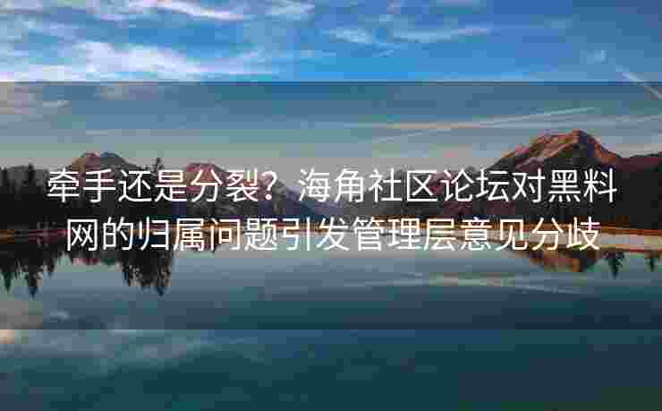 牵手还是分裂？海角社区论坛对黑料网的归属问题引发管理层意见分歧