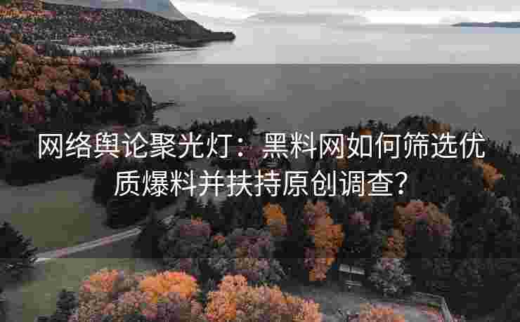 网络舆论聚光灯：黑料网如何筛选优质爆料并扶持原创调查？