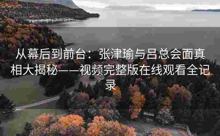 从幕后到前台：张津瑜与吕总会面真相大揭秘——视频完整版在线观看全记录