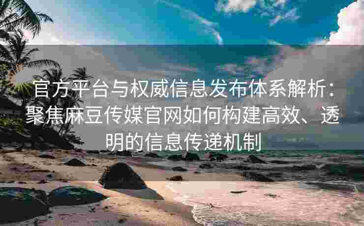 官方平台与权威信息发布体系解析：聚焦麻豆传媒官网如何构建高效、透明的信息传递机制